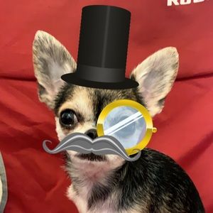 Meet your Posher, Bobbi